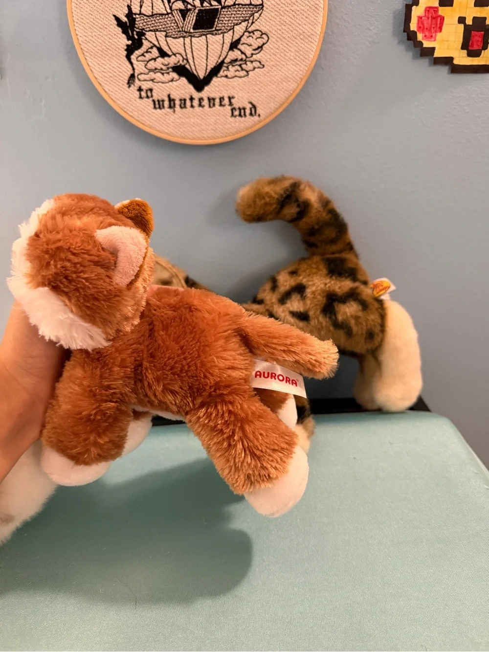 Cat plush bundle 2 aurora 1 bass pro